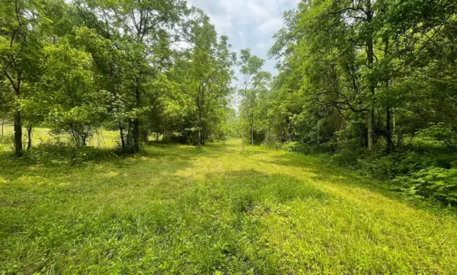 05907449c81eed8df12c54066d35f11b-cc_ft_1152-780x470