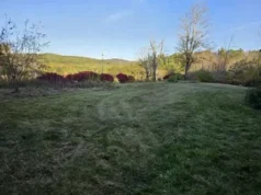 Winter Opportunity: Two Homes, Two Driveways