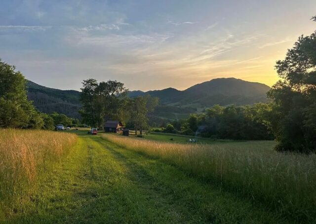 1 Beautiful mini farm with so much potential. 59+ Acres. $250,000