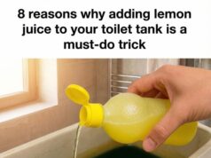 Why Lemon Juice Can Be a Helpful Addition to Your Toilet Tank