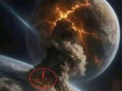 Reports here, unbelievable earthquake with large magnitude tsunami warning just!