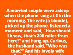 The Wrong Number That Became the Right Call