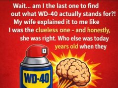 A Practical Use of WD-40 You May Not Know About