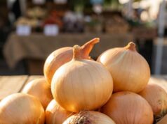 Doctors Share Insights on the Potential Benefits of Eating Onions