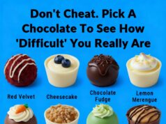 More Than a Choice: A Sweet Lesson About Being Human