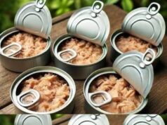 Creative and Practical Ways to Reuse Empty Tuna Cans at Home