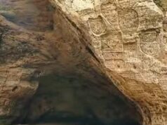 A Man Spent 25 Years Living Quietly in a Cave With His Dog—Here’s His Story