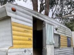 From Simple Beginnings to Life in a Quiet Forest Home