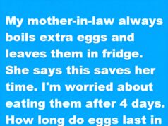 Lessons From the Fridge: A Story of Wisdom and Warmth