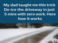 Easy Ways to Keep Your Walkways Clear and Safe in Winter