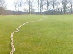 I Thought It Was Just a Rope in the Grass—Until I Looked Closer