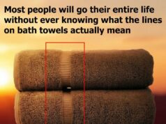 Why Bath Towels Are Essential in Every Home