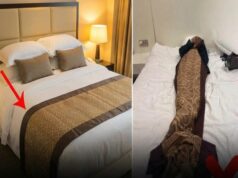 What Is the Purpose of the Fabric Strip Found on Hotel Beds