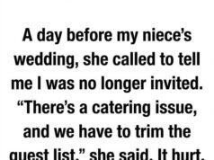 When I Was Asked Not to Attend the Wedding, I Chose Grace Instead