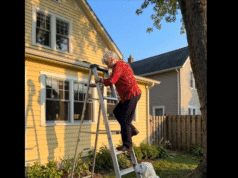 My Dog Pulled Me Off the Ladder—and Saved Me From a Hidden Danger