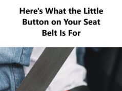 The Small Button on Your Seat Belt Explained