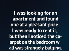 Behind the Carpet: A Quiet Discovery in a New Home