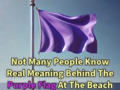 What a Purple Flag at the Beach Typically Means