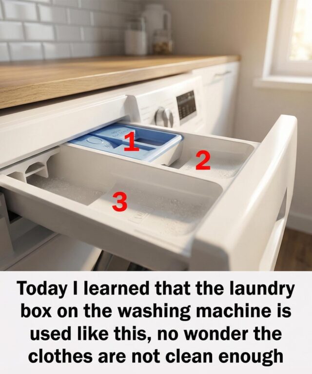 Turns out I've been using it the wrong way all this time🤔👇 A Hidden Discovery That Helped My Stepkids Understand Each Other Better