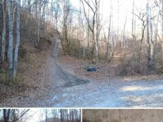 Prime Land with Utilities, Road Access, Timber Potential & Endless Opportunity