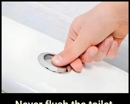 Reducing Household Water Waste Through Mindful Bathroom Practices