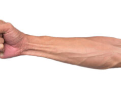 How to check if you’ve lost this tendon on your arm to evolution