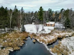 Tranquil Country Retreat on 37 Acres with Creek Frontage & Scenic Views