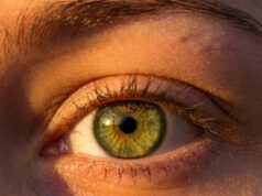 What Green Eyes Can Reveal: Fascinating Facts and Unique Traits