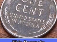 Here is How To Spot It, This Penny In Circulation is Worth $85,000!!!