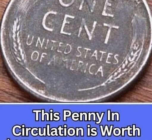 605445694_122241976736106495_6082169571124683296_n-511x470