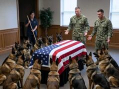 Military Dogs Blocked Access to Their Handlers Casket, And Refused to Move Until One Person Entered the Room!