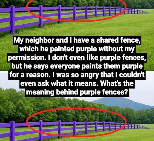 615919624_122247731054106243_6110015497377030068_n-512x470