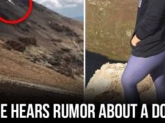 She Heard About a Dog Crying in the Mountains at Night – Went to Investigate and Found Something Incredible!