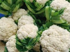 What Doctors Say About Cauliflower Might Surprise You!