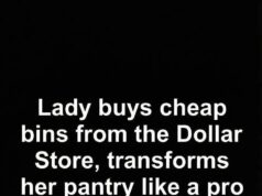 Budget-Friendly DIY Pantry Organization Using Dollar Store Bins