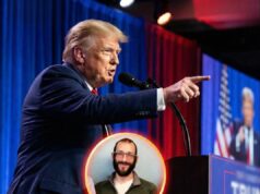 Political Leaders Respond After ICU Nurse Alex Pretti Dies in Federal Enforcement Incident in Minneapolis