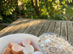 How to Boil Eggshells for Practical Home Uses