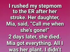 The Jade Plant’s Secret — A Story of Quiet Love, Misunderstood Intentions, and Unexpected Inheritance