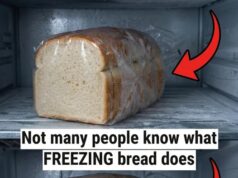 A Practical Guide to Freezing Bread the Right Way