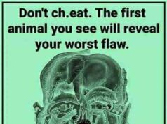 What the First Animal You Notice in This Image Might Say About You