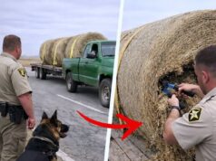 K9 Kept Barking at Hay Bales on Highway, Deputy Cut It Open and Turned Pale!