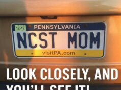 A Closer Look at a License Plate and the Unexpected Detail It Shows