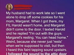 The Day I Found My Mother-in-Law in the Attic—and Learned What She’d Been Hiding