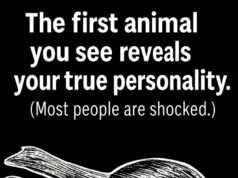 What the First Animal You Notice May Say About Your Personality