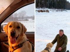 My Three-Legged Dog Noticed a Stranger First — and It Led to an Unforgettable Moment