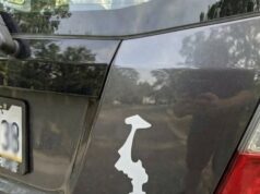 Why Some Drivers Display an Upside-Down State Sticker