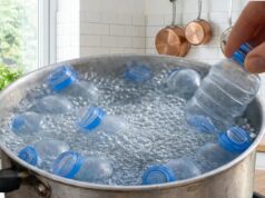 Don’t Discard Plastic Bottles Too Quickly — A Simple Idea That Gives Them New Life