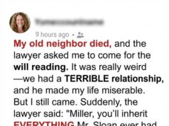 One Day, I Inherited a House from My Late Neighbor Who Hated Me, but His One Condition Forced Me to Act