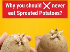 Sprouted Potatoes: What You Need to Know Before Cooking