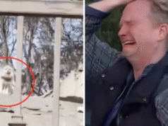 After five days apart, man finds his dog following wildfire destruction